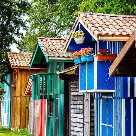 Au Coeur Du Bassin D'Arcachon,Tres Bel Appartement Avec Terrasse Audenge Exteriör bild