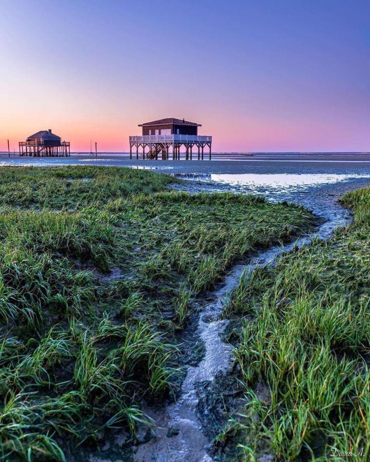 Au Coeur Du Bassin D'Arcachon,Tres Bel Appartement Avec Terrasse Audenge Exteriör bild