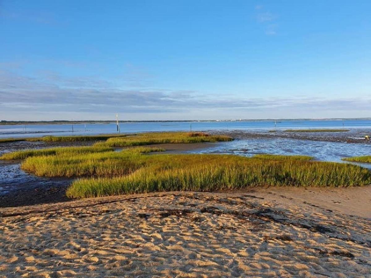 Au Coeur Du Bassin D'Arcachon,Tres Bel Appartement Avec Terrasse Audenge Exteriör bild