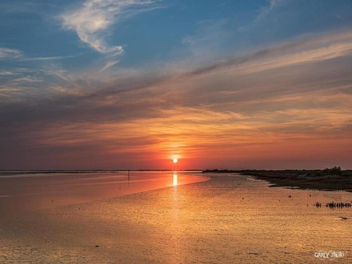 Au Coeur Du Bassin D'Arcachon,Tres Bel Appartement Avec Terrasse Audenge Exteriör bild