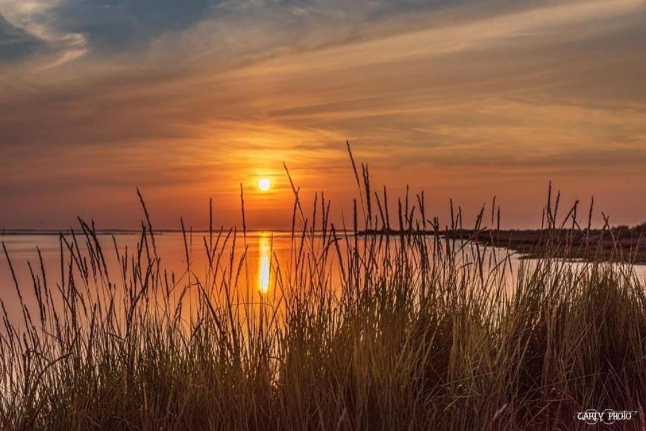 Au Coeur Du Bassin D'Arcachon,Tres Bel Appartement Avec Terrasse Audenge Exteriör bild