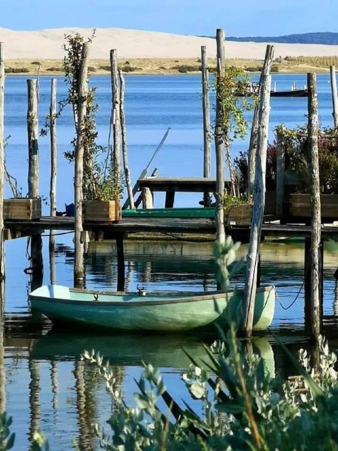 Au Coeur Du Bassin D'Arcachon,Tres Bel Appartement Avec Terrasse Audenge Exteriör bild