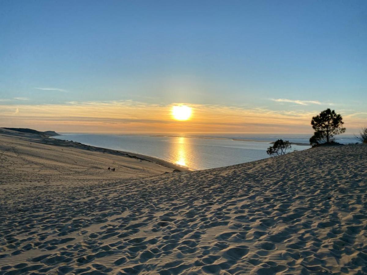Au Coeur Du Bassin D'Arcachon,Tres Bel Appartement Avec Terrasse Audenge Exteriör bild